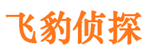 上海外遇调查取证